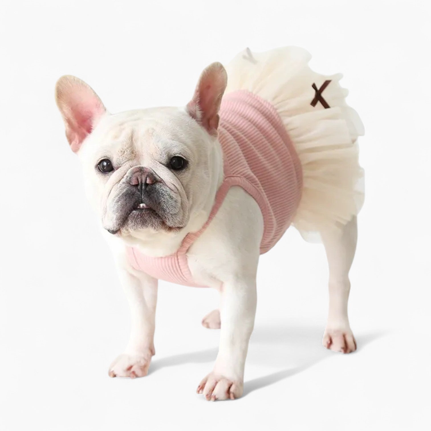 French Bulldog Soft Festive Costume for Flat-Face Breeds-fadou