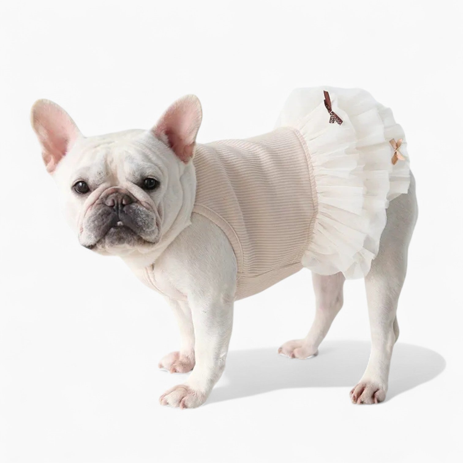 French Bulldog Soft Festive Costume for Flat-Face Breeds-fadou