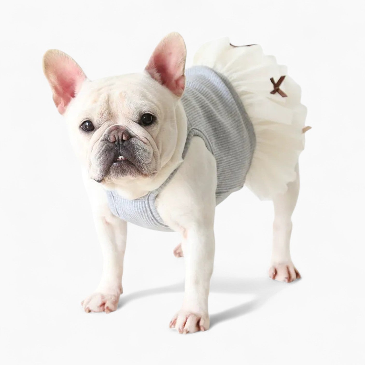French Bulldog Soft Festive Costume for Flat-Face Breeds-fadou