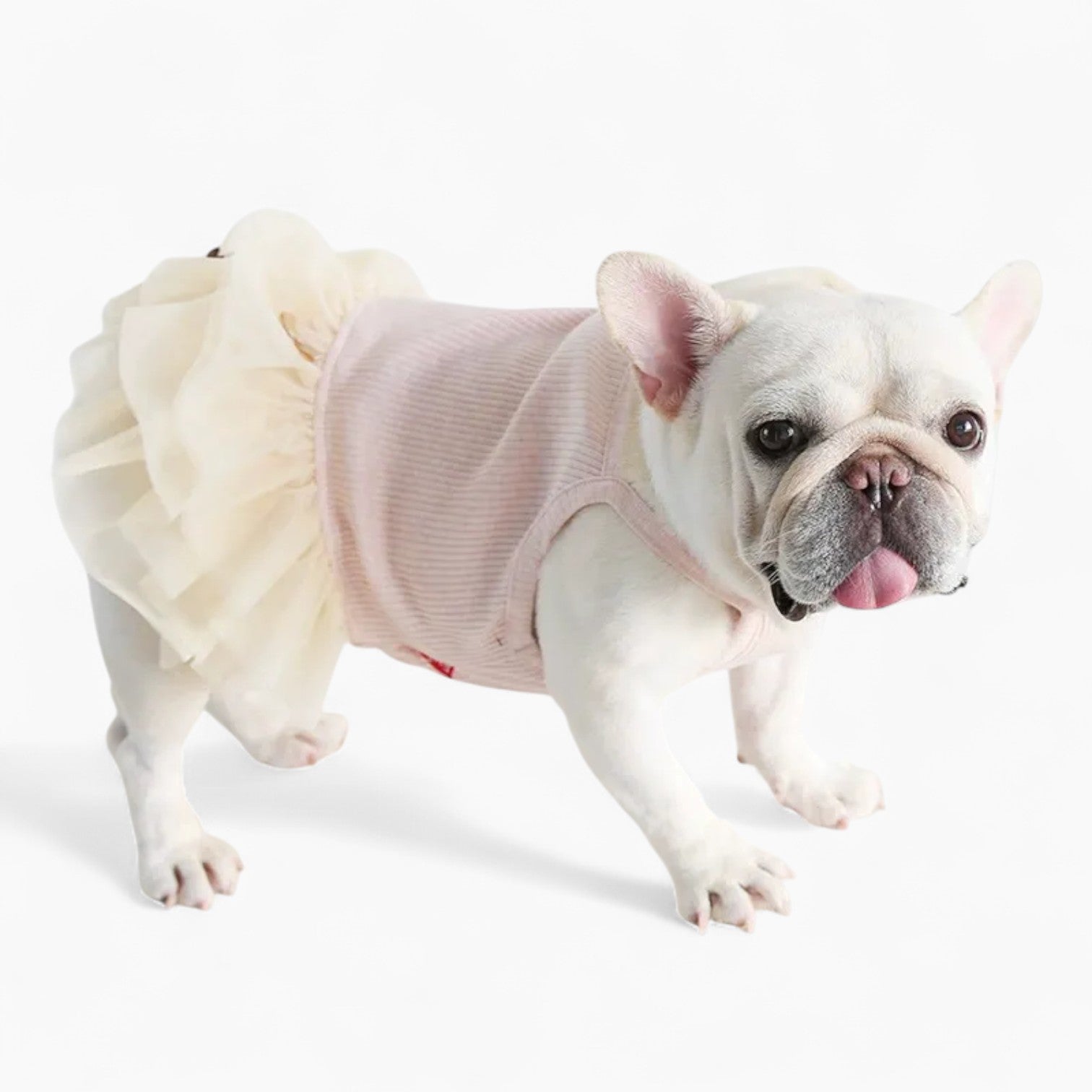 French Bulldog Soft Festive Costume for Flat-Face Breeds-fadou