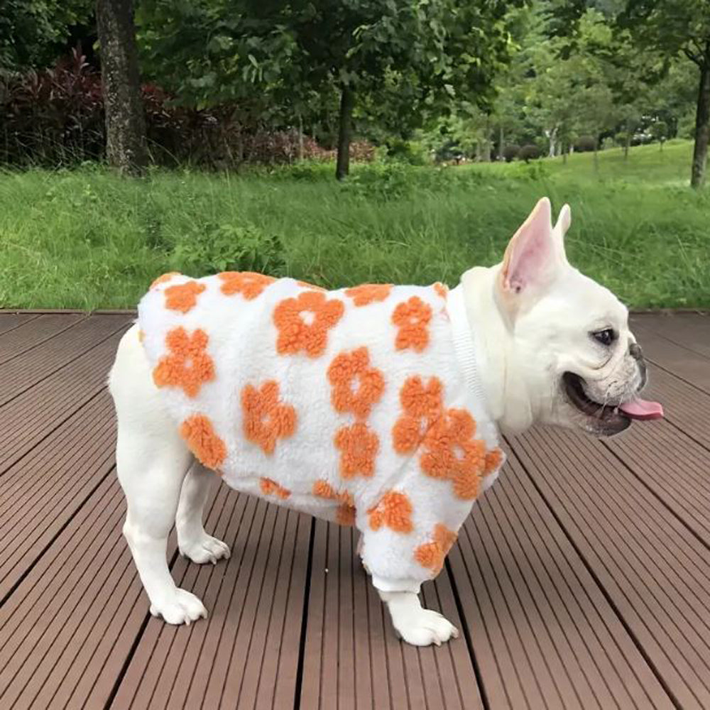 French Bulldog Stylish Knit Sweater for Outdoor Adventures-fadou