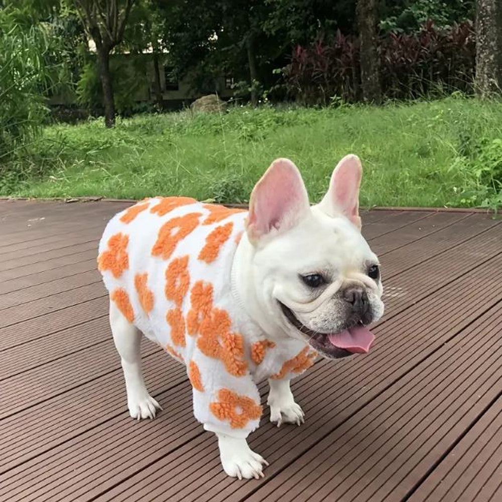 French Bulldog Stylish Knit Sweater for Outdoor Adventures-fadou