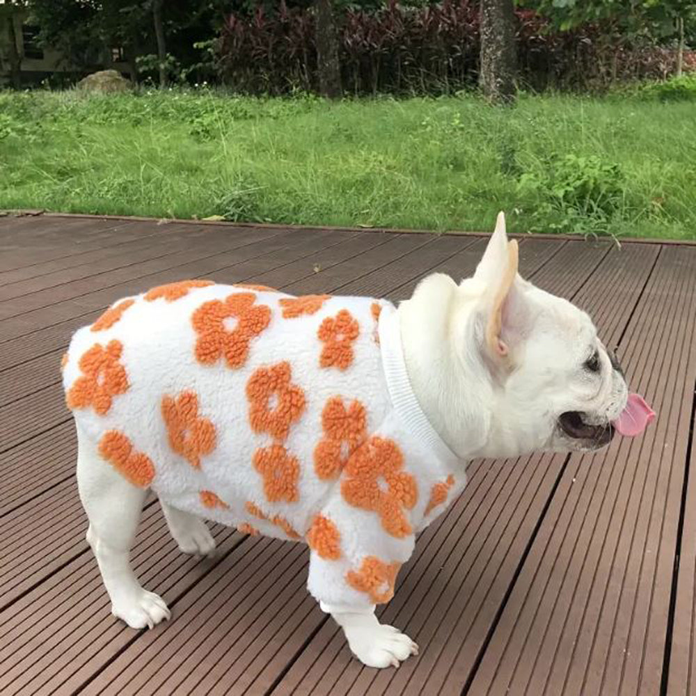 French Bulldog Stylish Knit Sweater for Outdoor Adventures-fadou