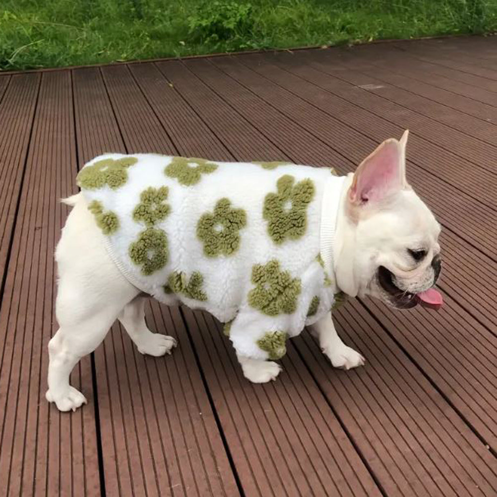 French Bulldog Stylish Knit Sweater for Outdoor Adventures-fadou