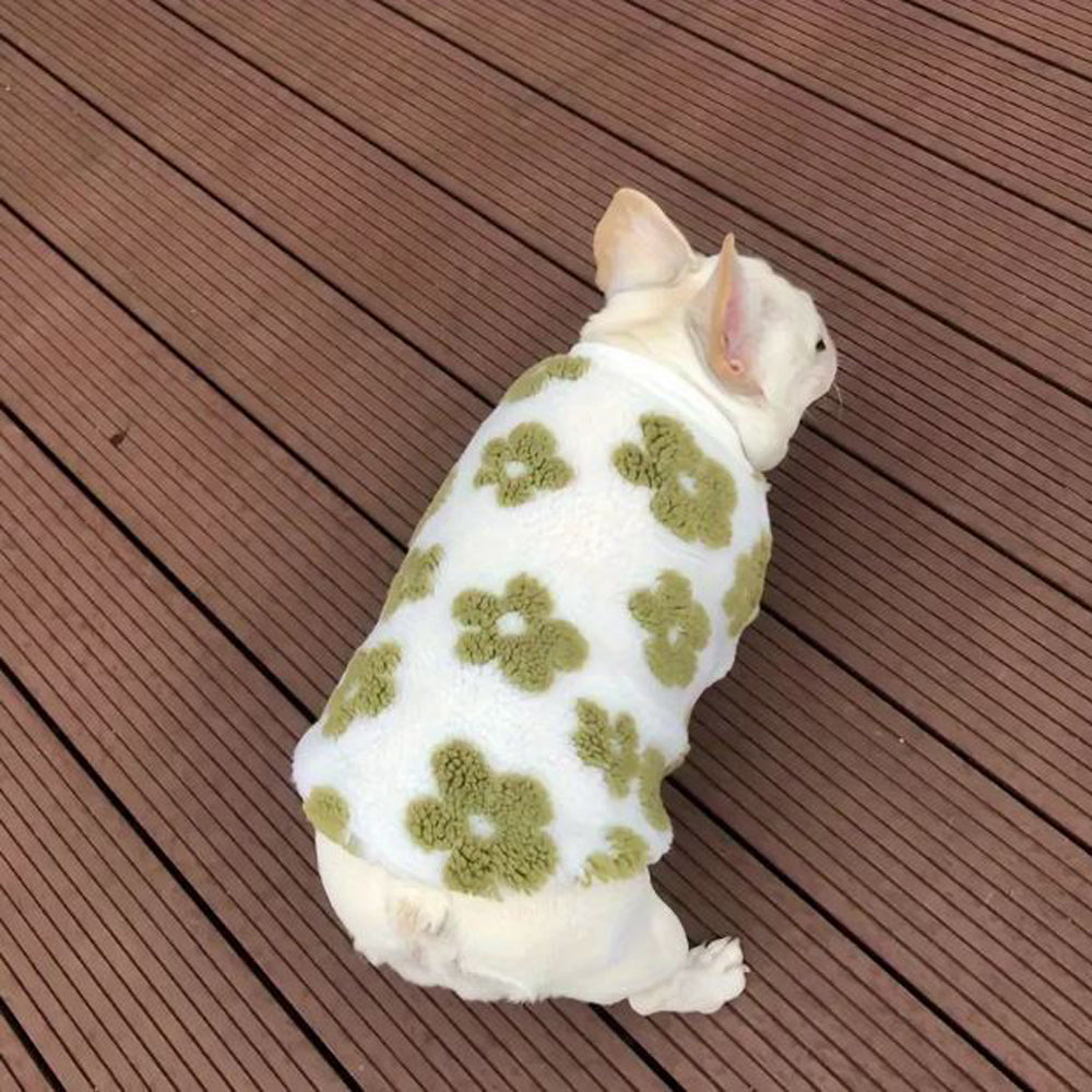 French Bulldog Stylish Knit Sweater for Outdoor Adventures-fadou