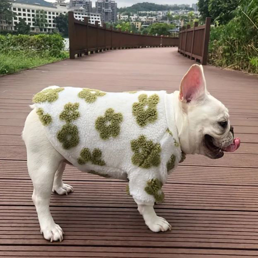 French Bulldog Stylish Knit Sweater for Outdoor Adventures-fadou