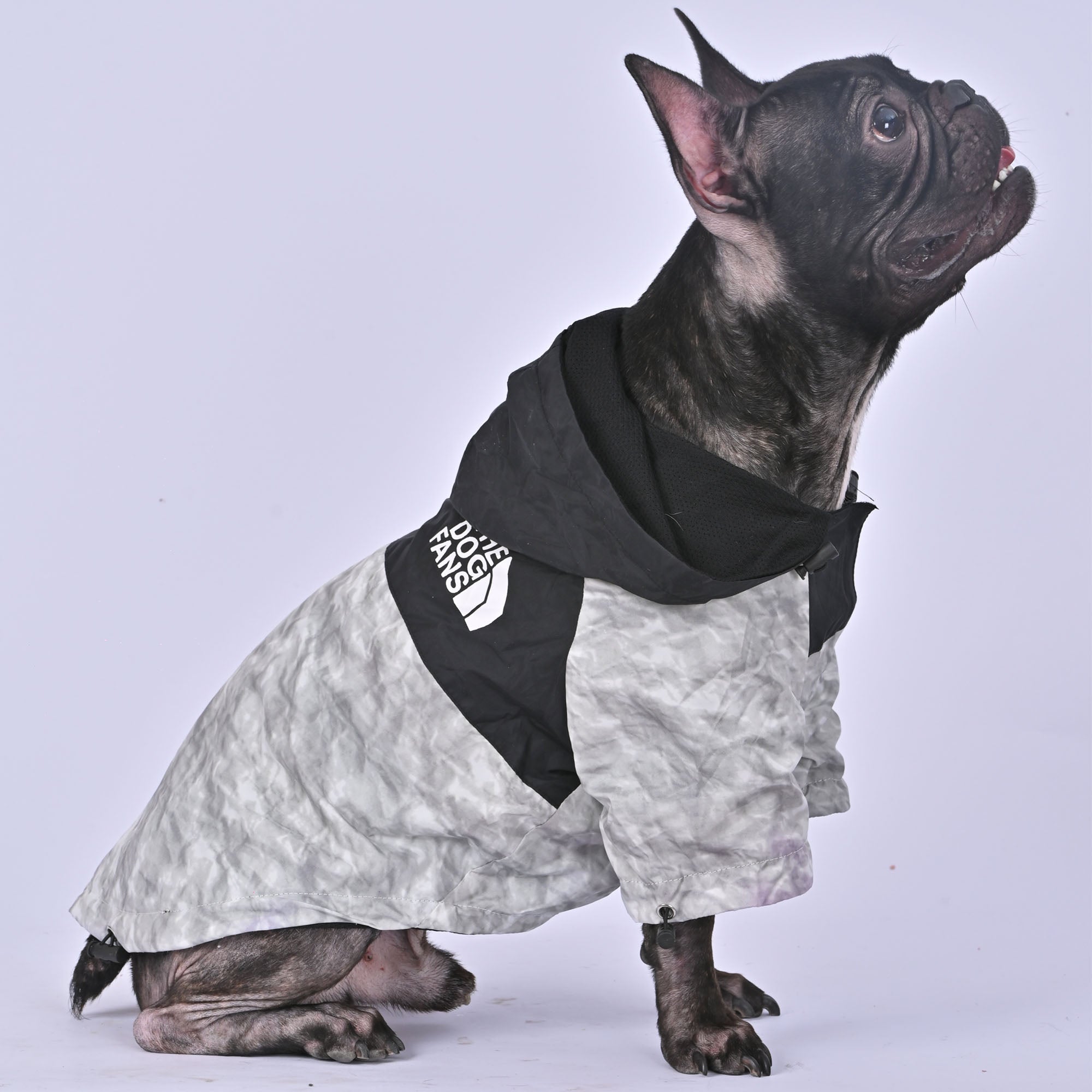French Bulldog Trendy Waterproof Coat for Travel Comfort-fadou