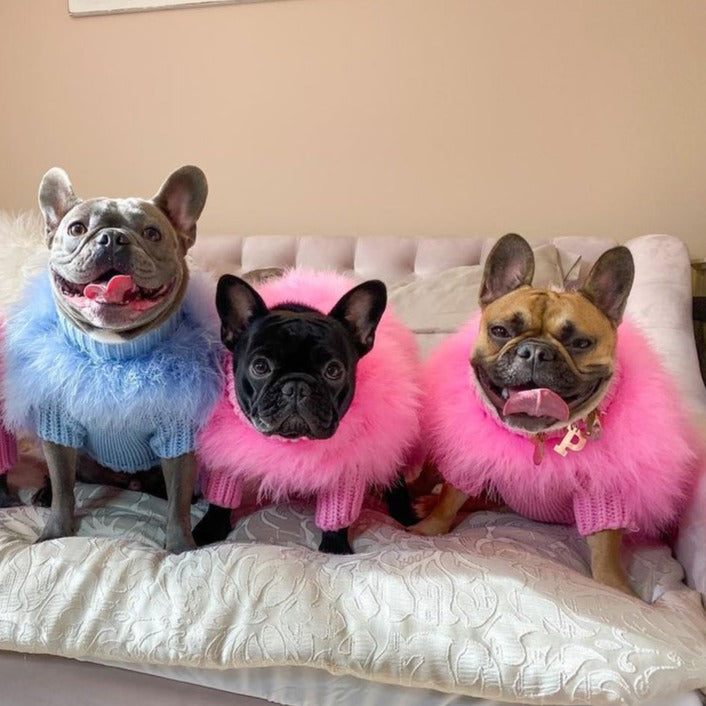 PlumePup French Bulldog Accessory for Frenchie Enthusiasts-fadou
