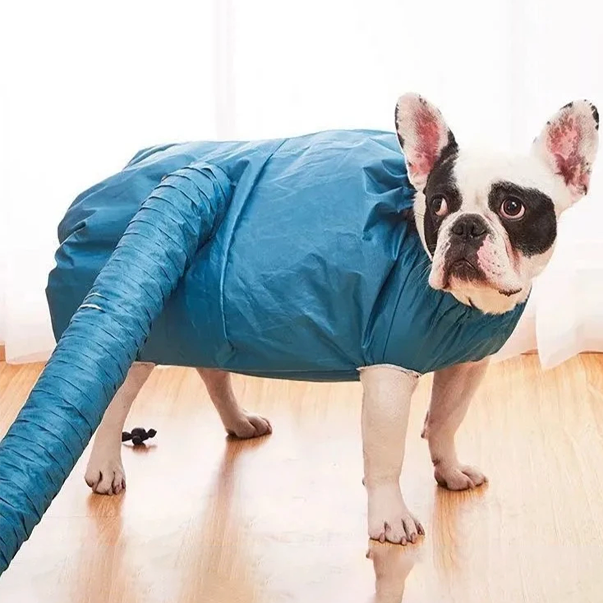 PoochDry French Bulldog Dog Accessory for Short-Nosed Dogs-fadou