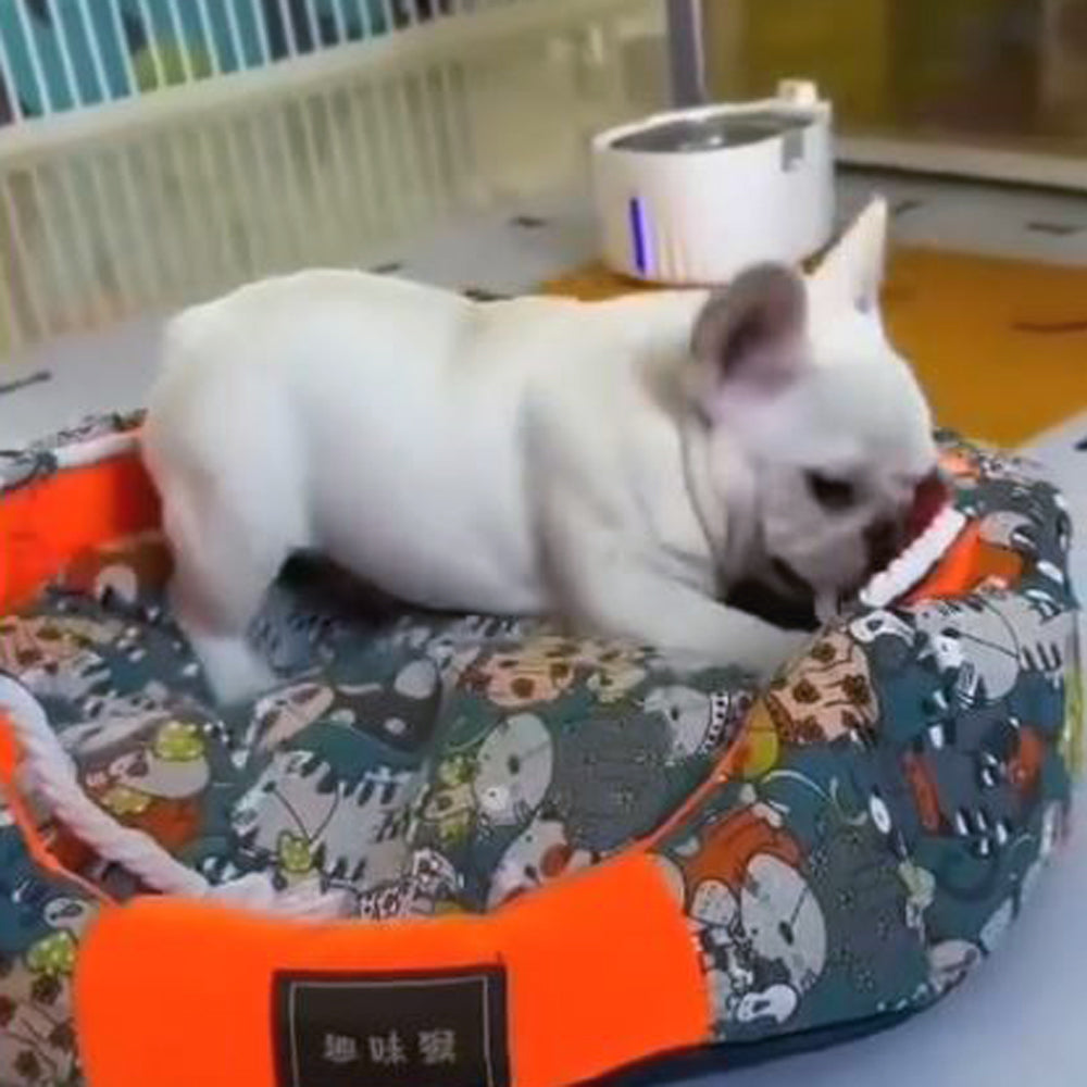 French Bulldog Premium Sleep Nest for Training Sessions-fadou