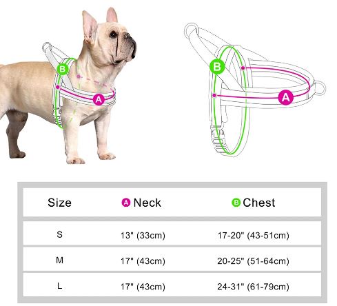 PrintPup No-Pull Walking Harness for Brachycephalic Dogs-fadou