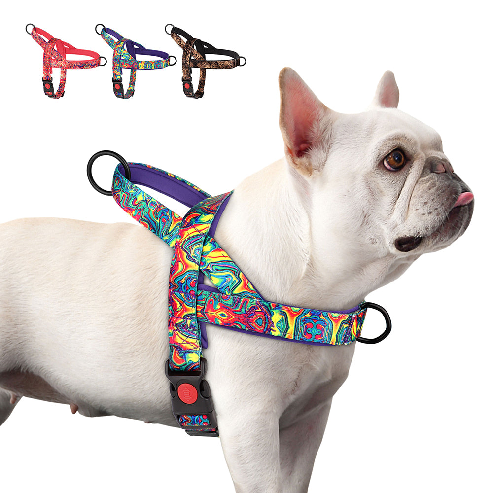 PrintPup No-Pull Walking Harness for Brachycephalic Dogs-fadou