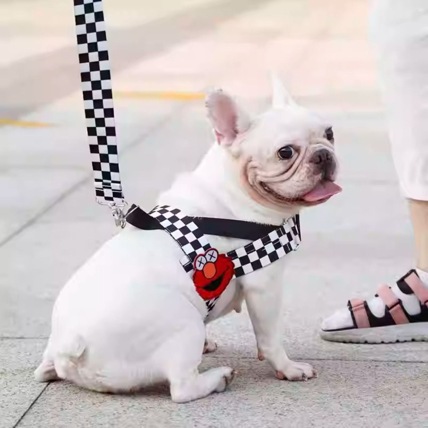 French Bulldog Secure Walking Harness for Travel Comfort-fadou