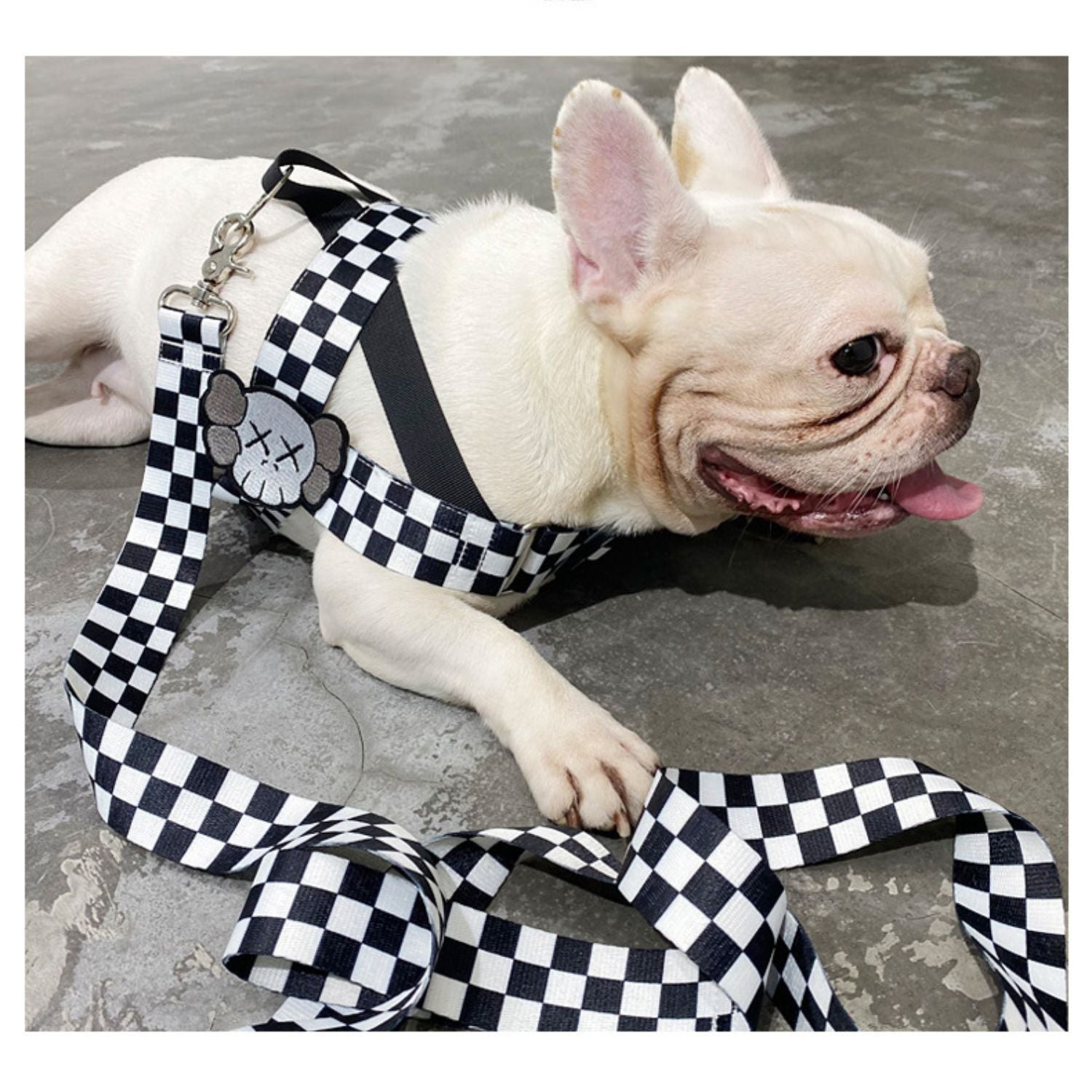 French Bulldog Secure Walking Harness for Travel Comfort-fadou