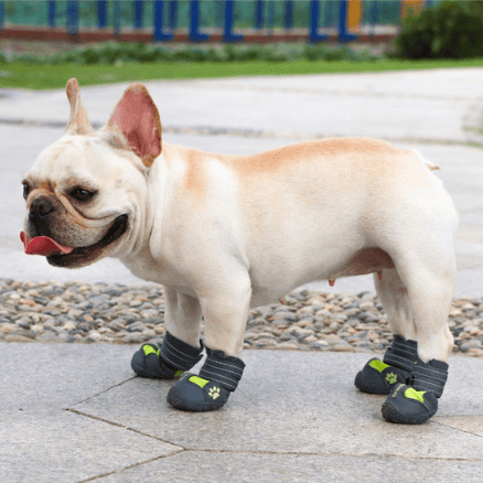 PupLuxe Frenchie Booties with Reflective Straps for Everyday Wear-fadou