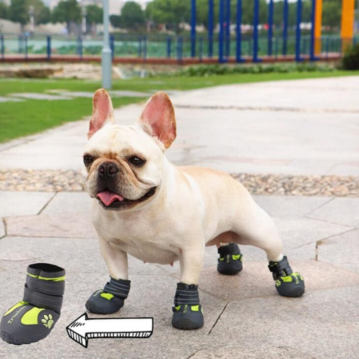 PupLuxe Frenchie Booties with Reflective Straps for Everyday Wear-fadou