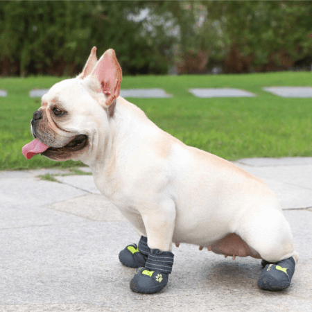PupLuxe Frenchie Booties with Reflective Straps for Everyday Wear-fadou