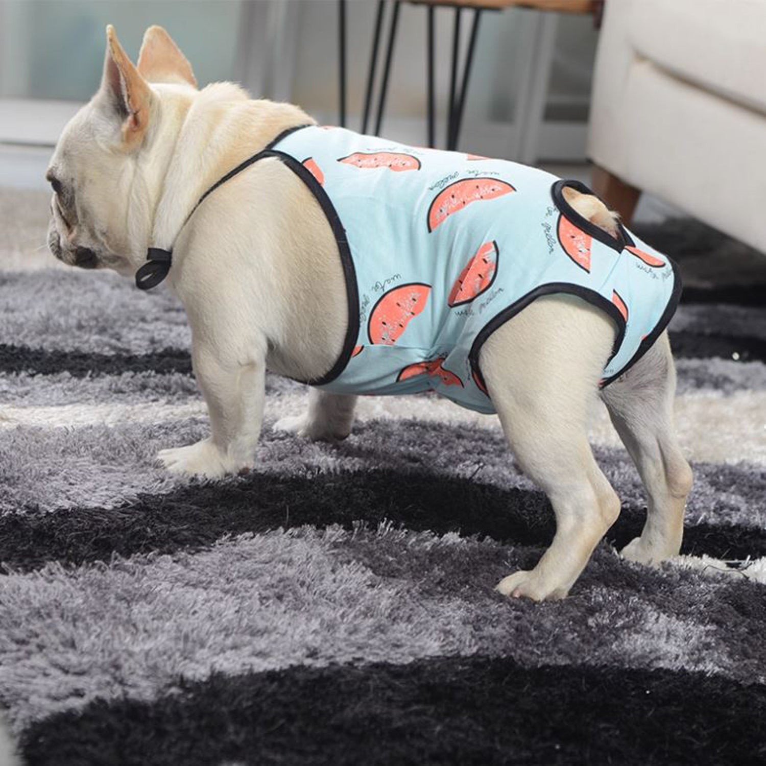 French Bulldog Adjustable Item for Frenchie Enthusiasts-fadou