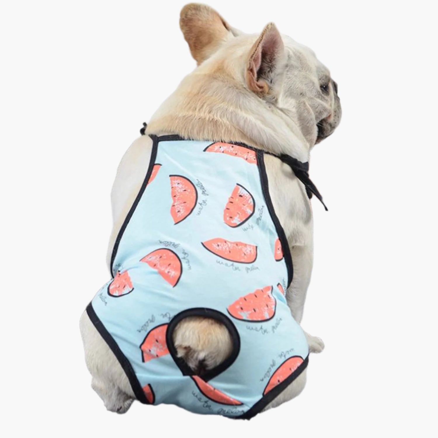 French Bulldog Adjustable Item for Frenchie Enthusiasts-fadou