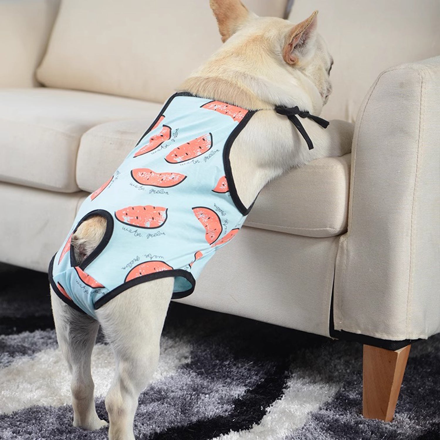 French Bulldog Adjustable Item for Frenchie Enthusiasts-fadou