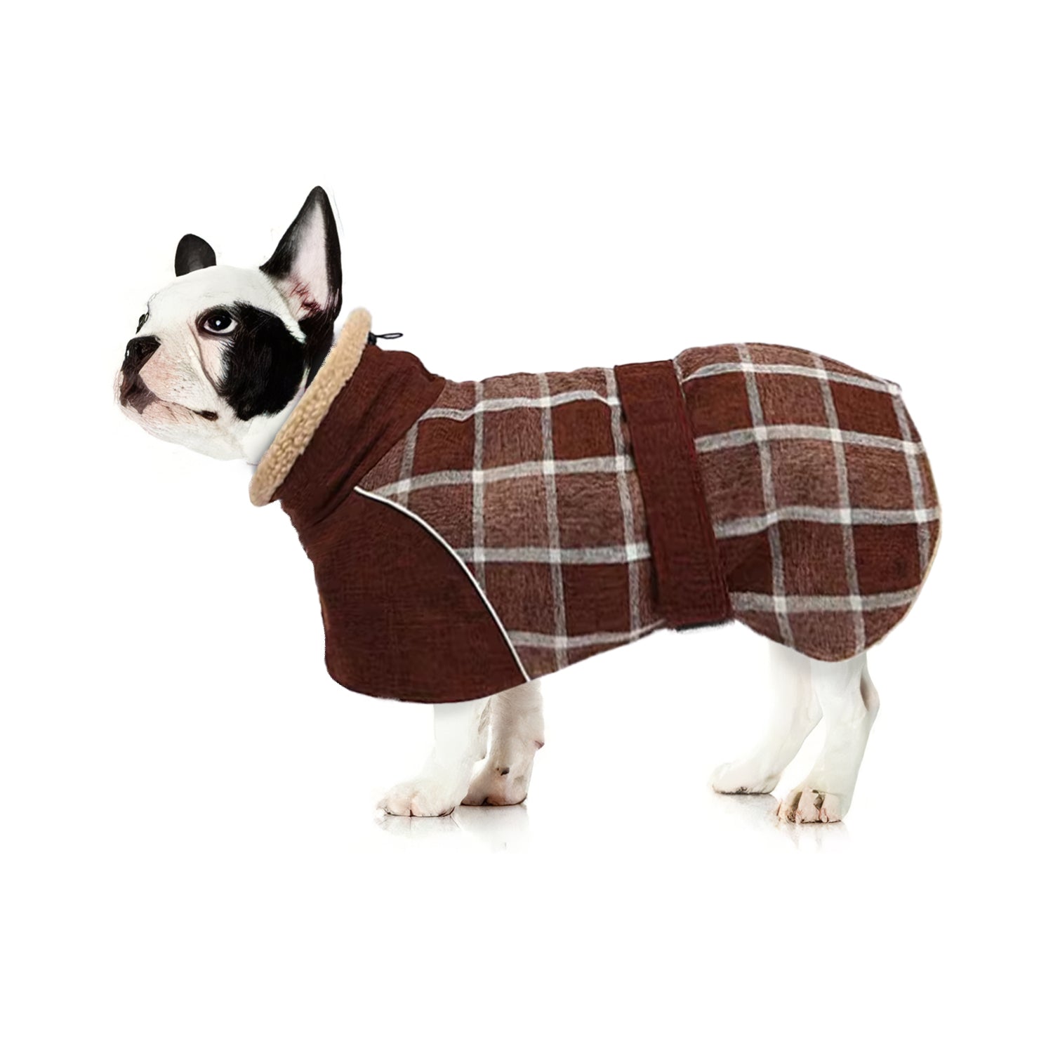 French Bulldog Reflective Pet Jacket for Outdoor Adventures-fadou
