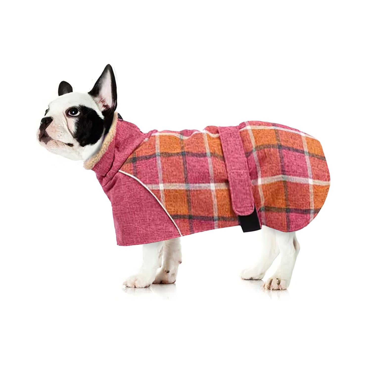 French Bulldog Reflective Pet Jacket for Outdoor Adventures-fadou