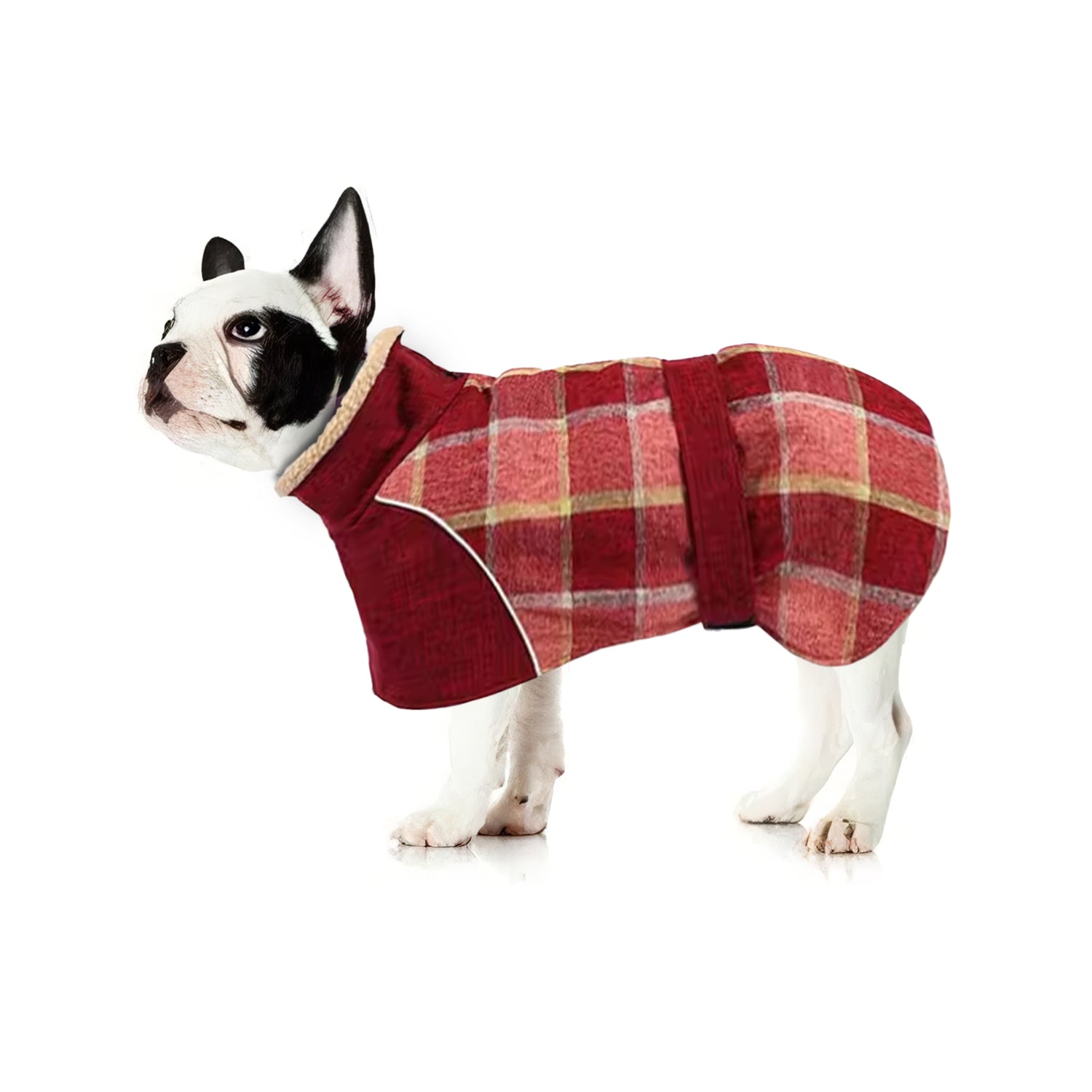French Bulldog Reflective Pet Jacket for Outdoor Adventures-fadou