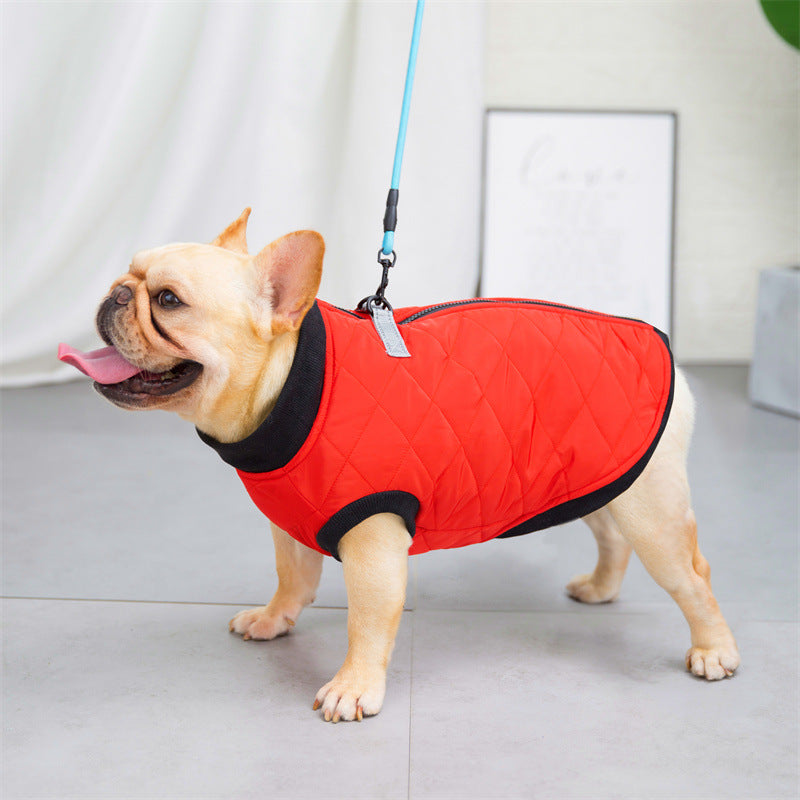 Quilted French Bulldog Dog Harness for Flat-Face Breeds-fadou