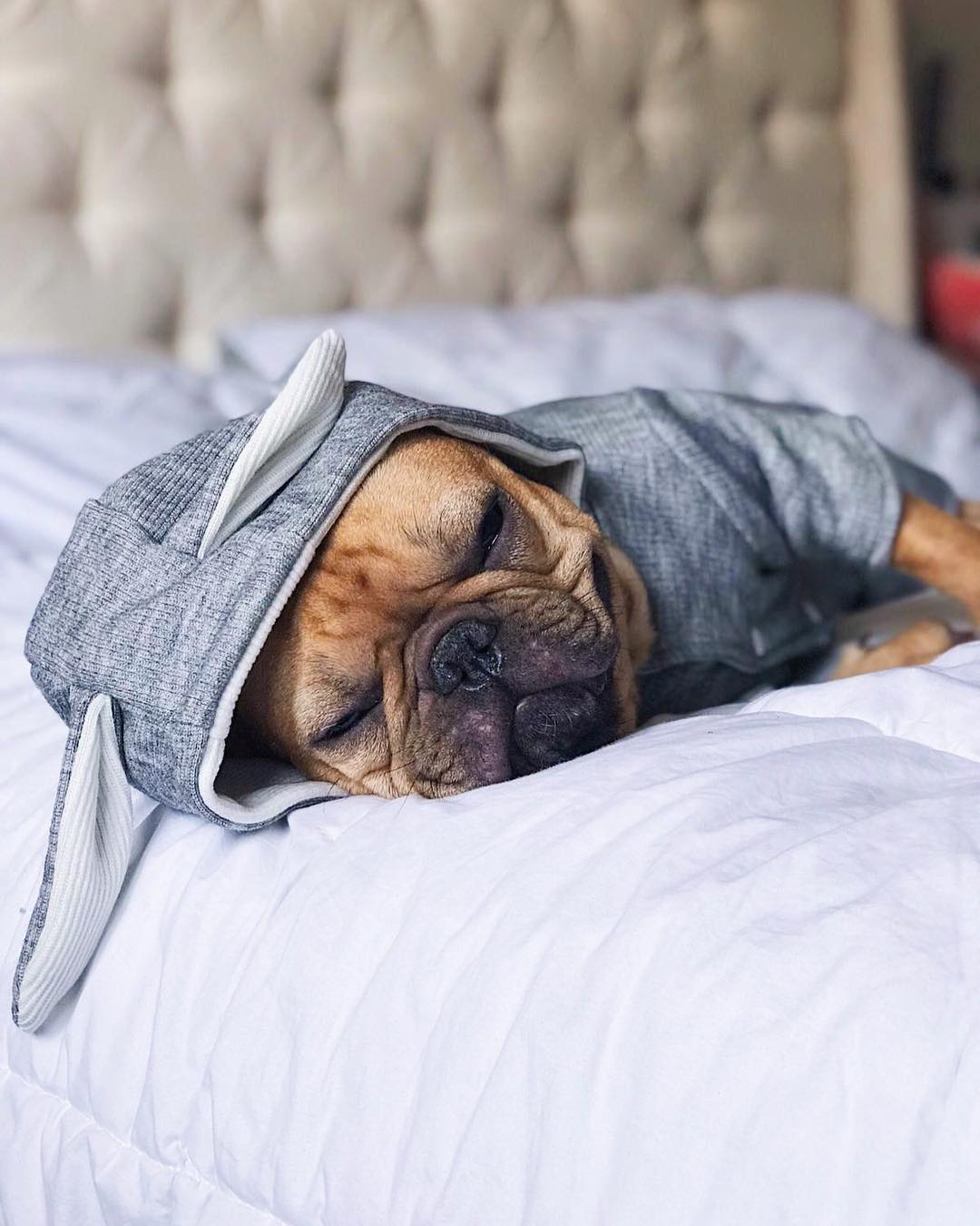 Rabbit French Bulldog Dog Mom Hoodie for Frenchie Enthusiasts-fadou