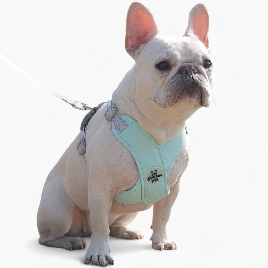 French Bulldog Breathable Chest Harness for Flat-Face Breeds-fadou