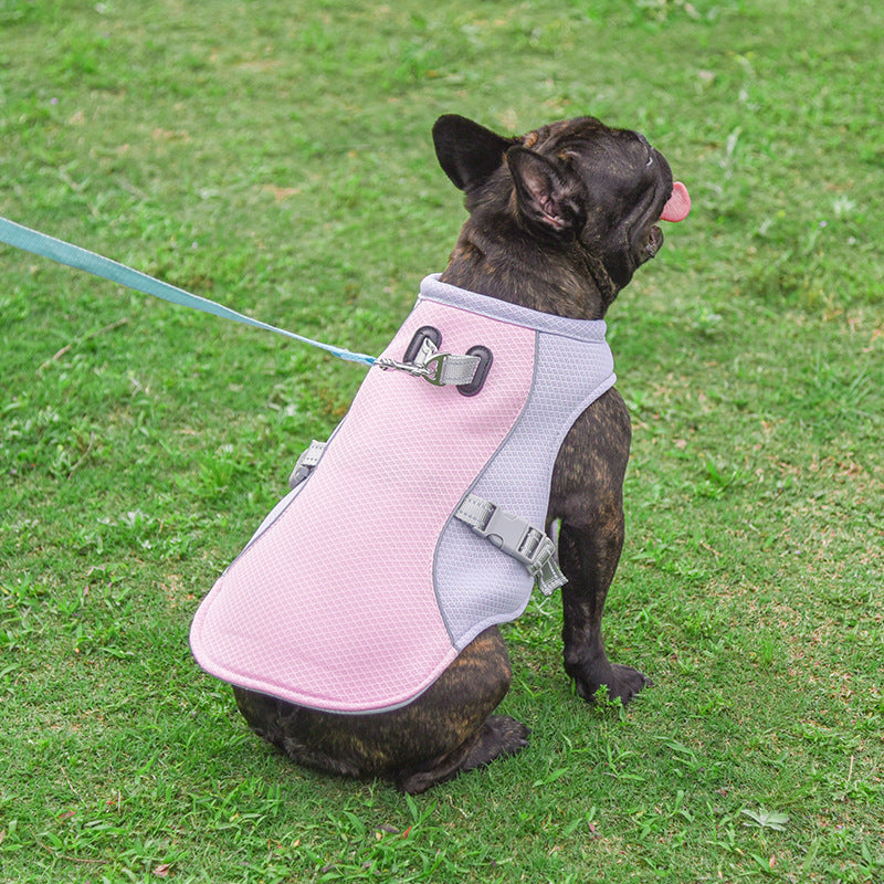 French Bulldog Breathable Walking Harness for Brachycephalic Dogs-fadou