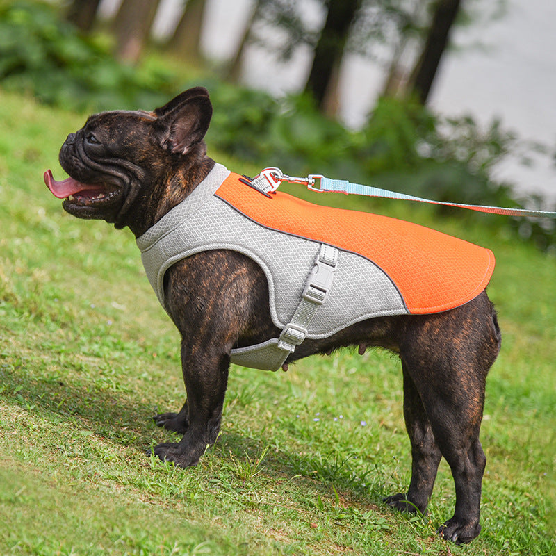 French Bulldog Breathable Walking Harness for Brachycephalic Dogs-fadou