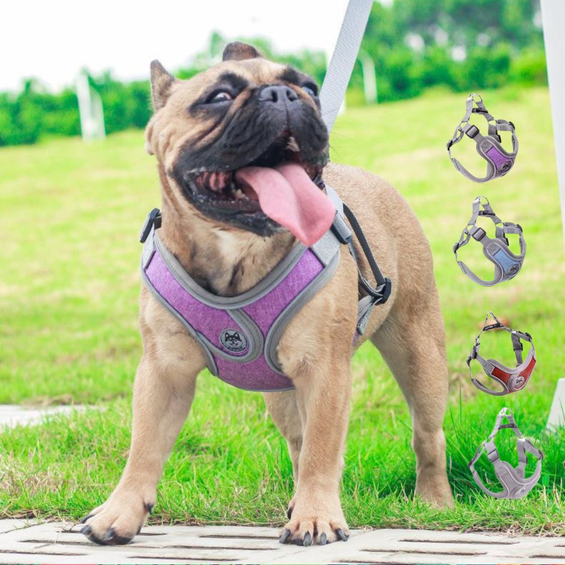 Reflective Adjustable Walking Harness for Outdoor Adventures-fadou