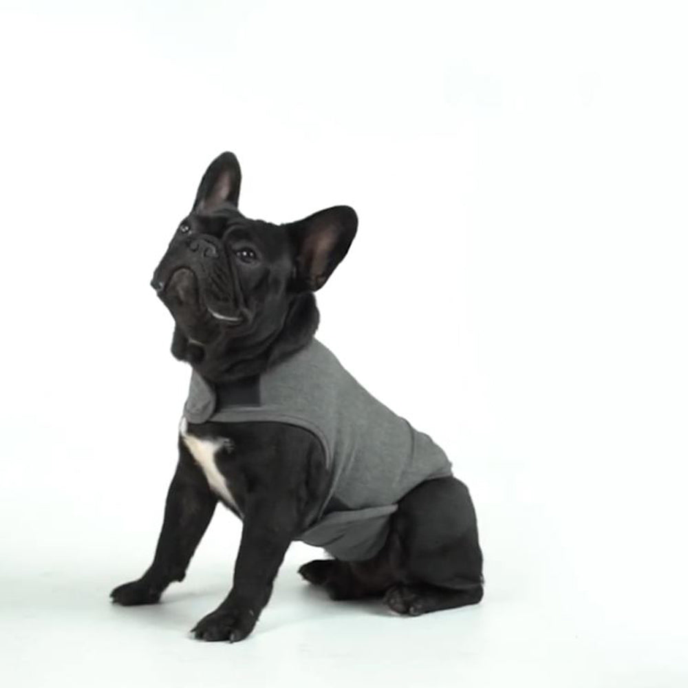 RelaxRover French Bulldog Warm Outerwear for Small Breeds-fadou