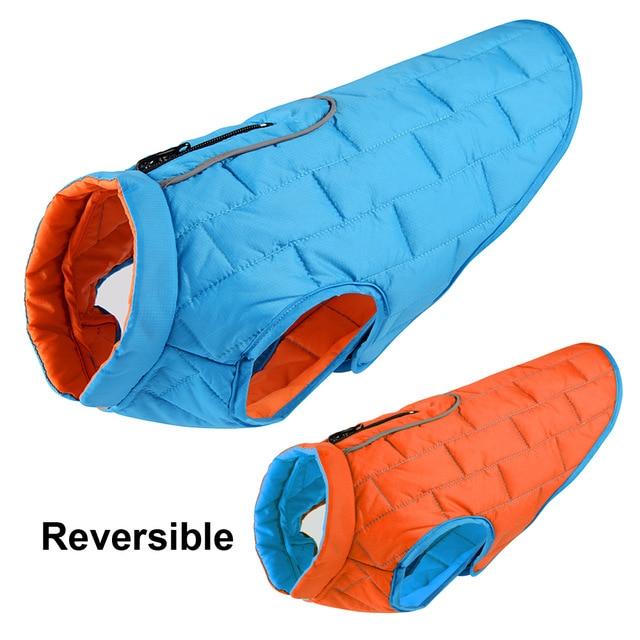 French Bulldog Reversible Winter Jacket for Stocky Dogs-fadou