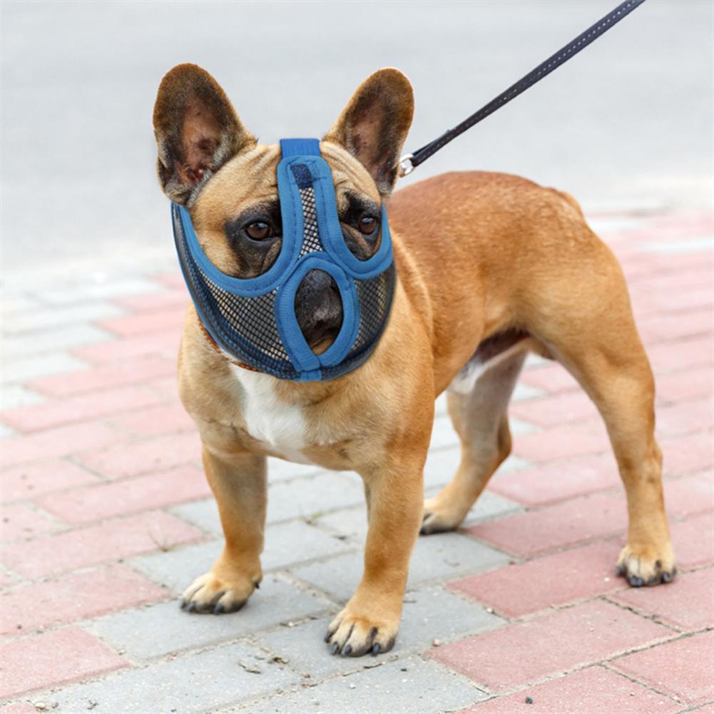 Revolutionary French Bulldog Safety Muzzle for Cozy Nights-fadou