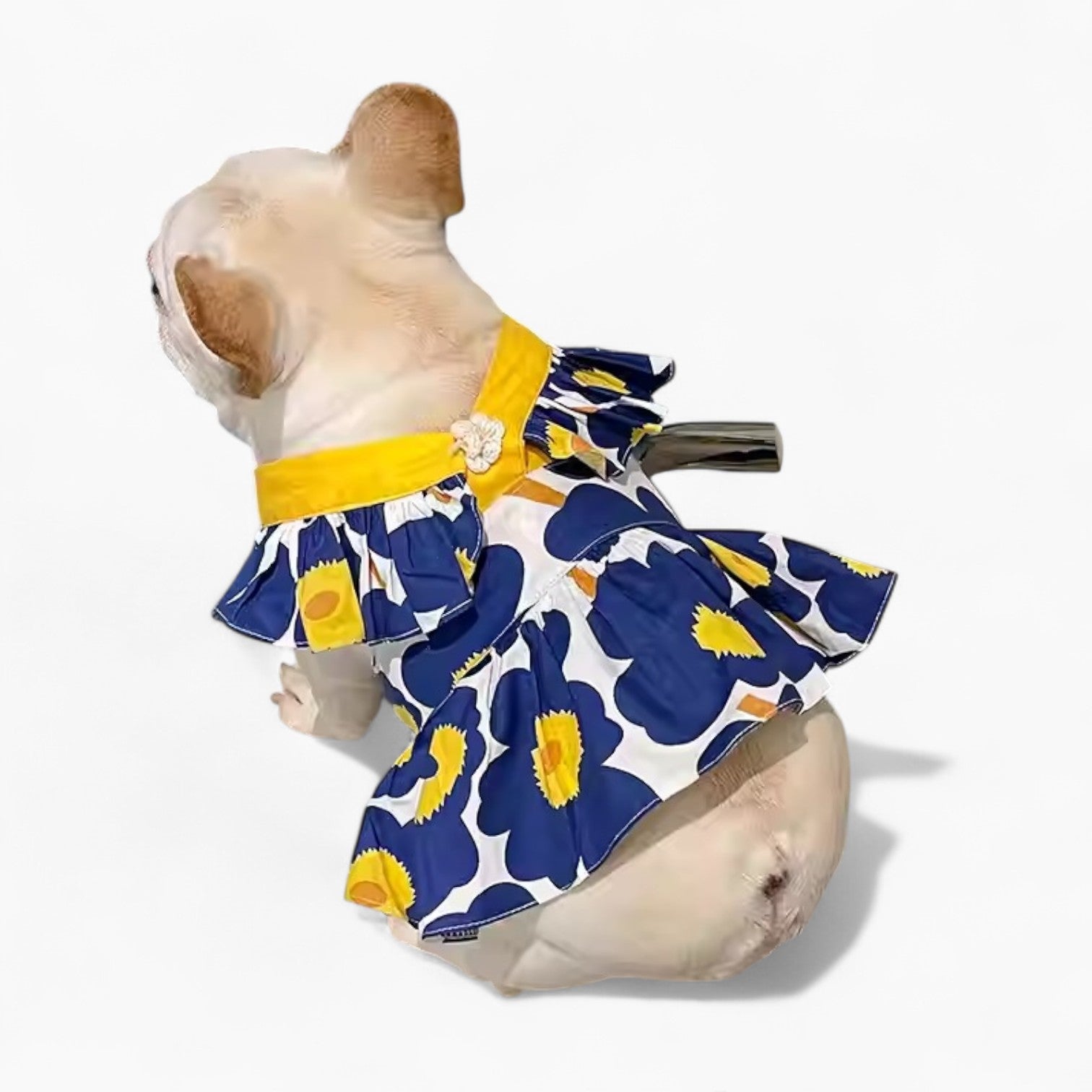 French Bulldog Lightweight Festive Costume for Short-Nosed Dogs-fadou