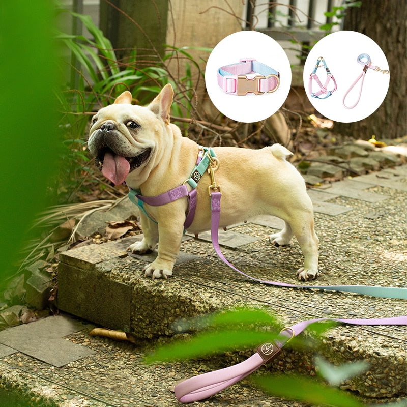 French Bulldog No-Pull Dog Harness for Short-Nosed Dogs-fadou