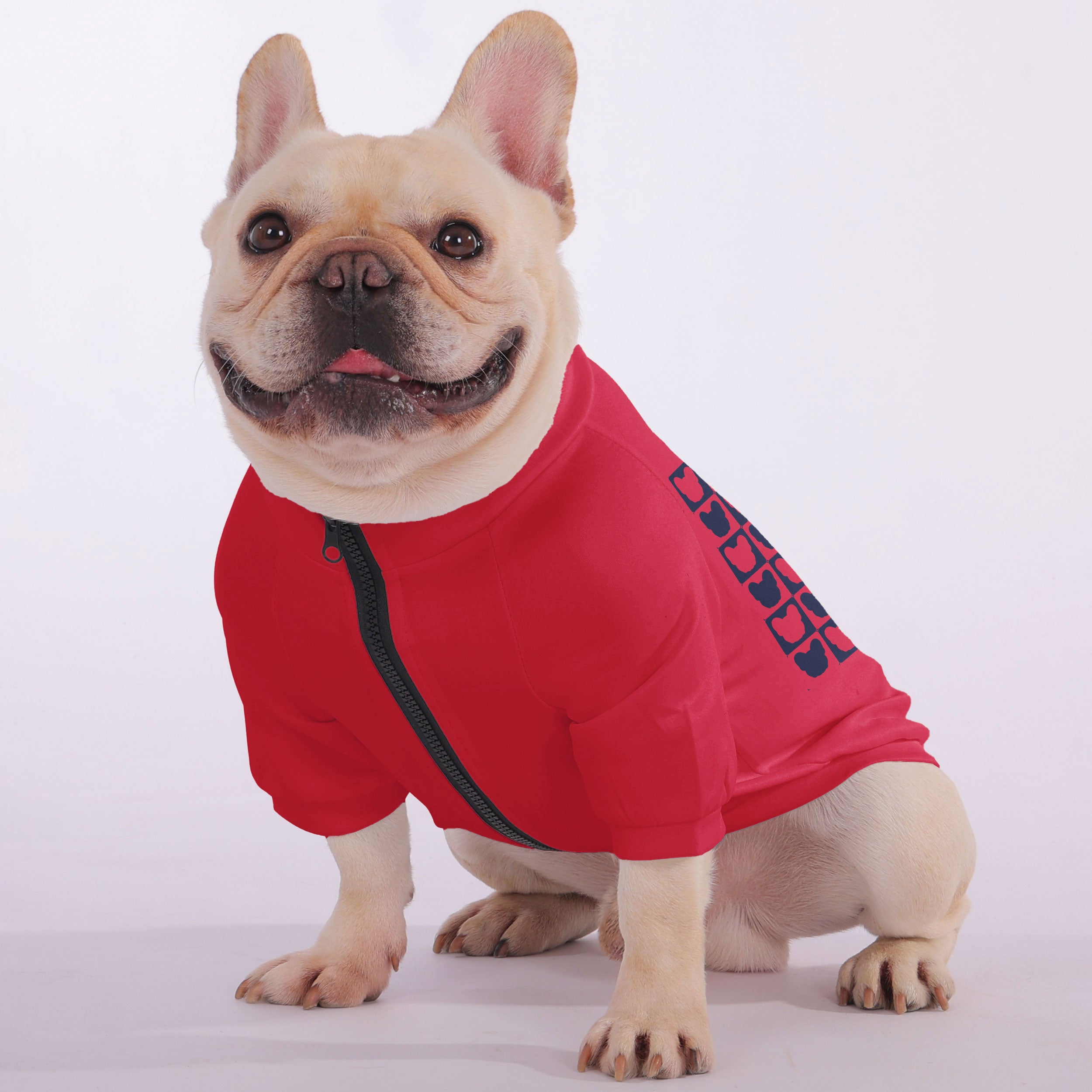 Teddy French Bulldog Fleece Hoodie for Outdoor Adventures-fadou