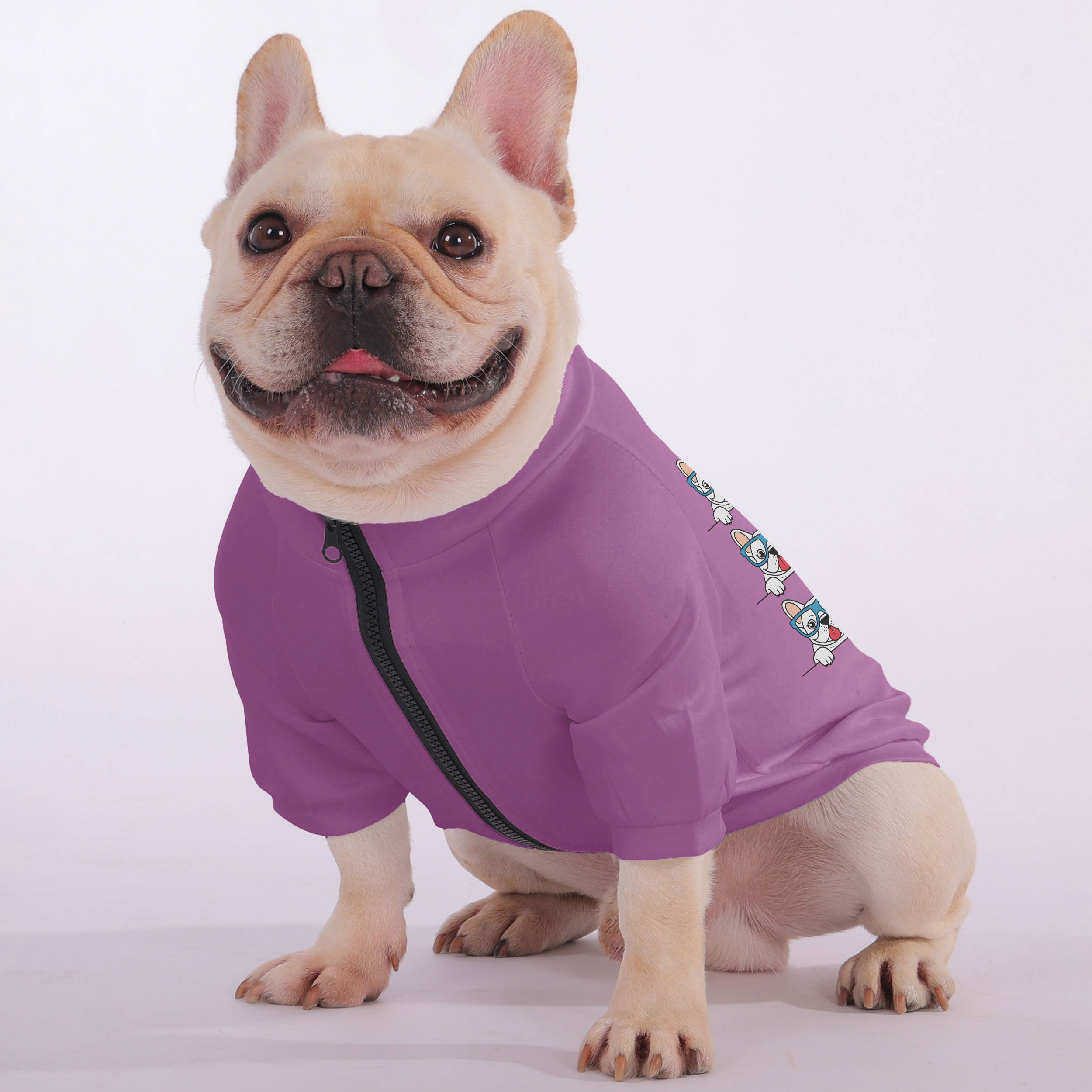 Henri French Bulldog Pet Sweatshirt for Flat-Face Breeds-fadou
