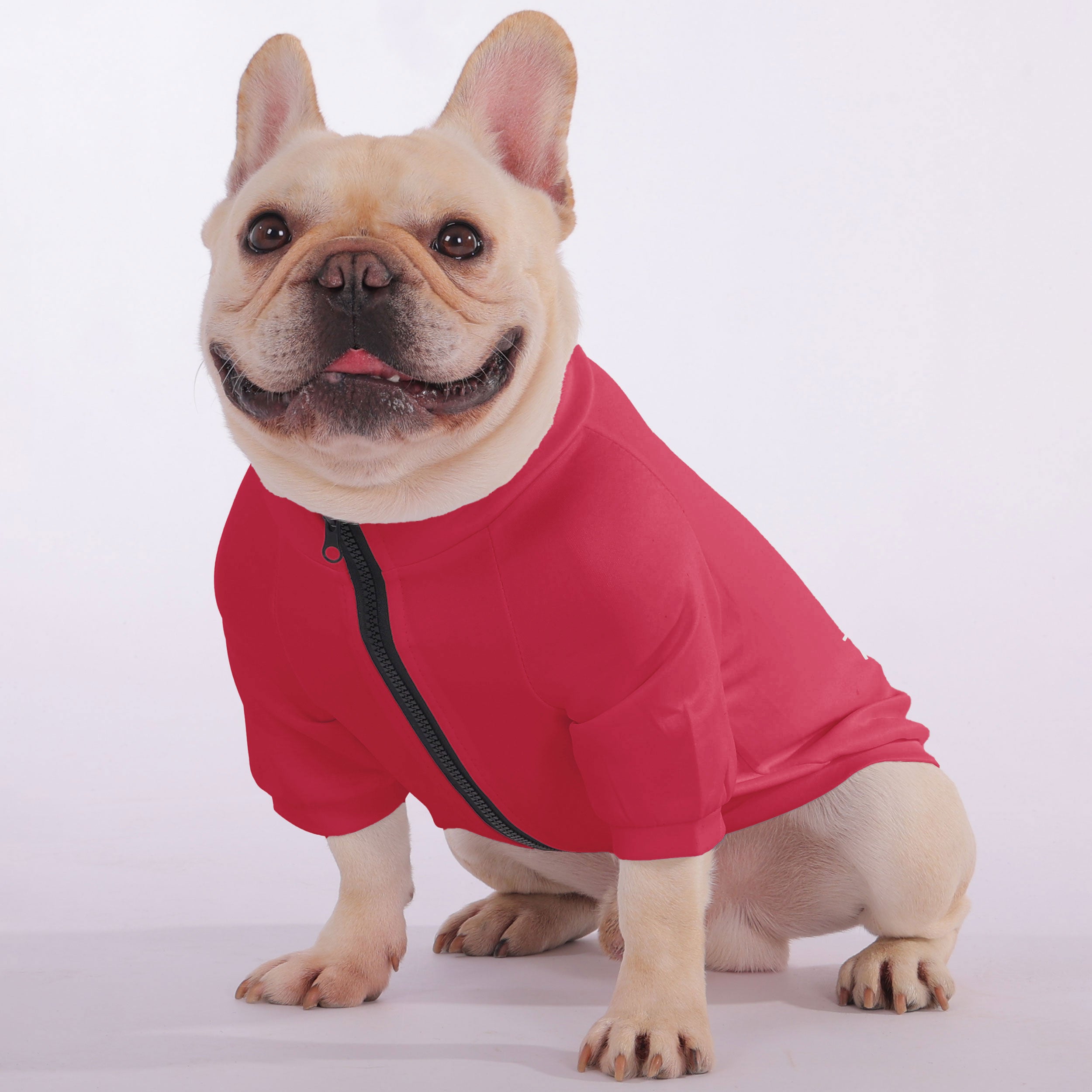 I’m Not a Morning Dog, Try Again Later - Snuggly for French Bulldogs-fadou