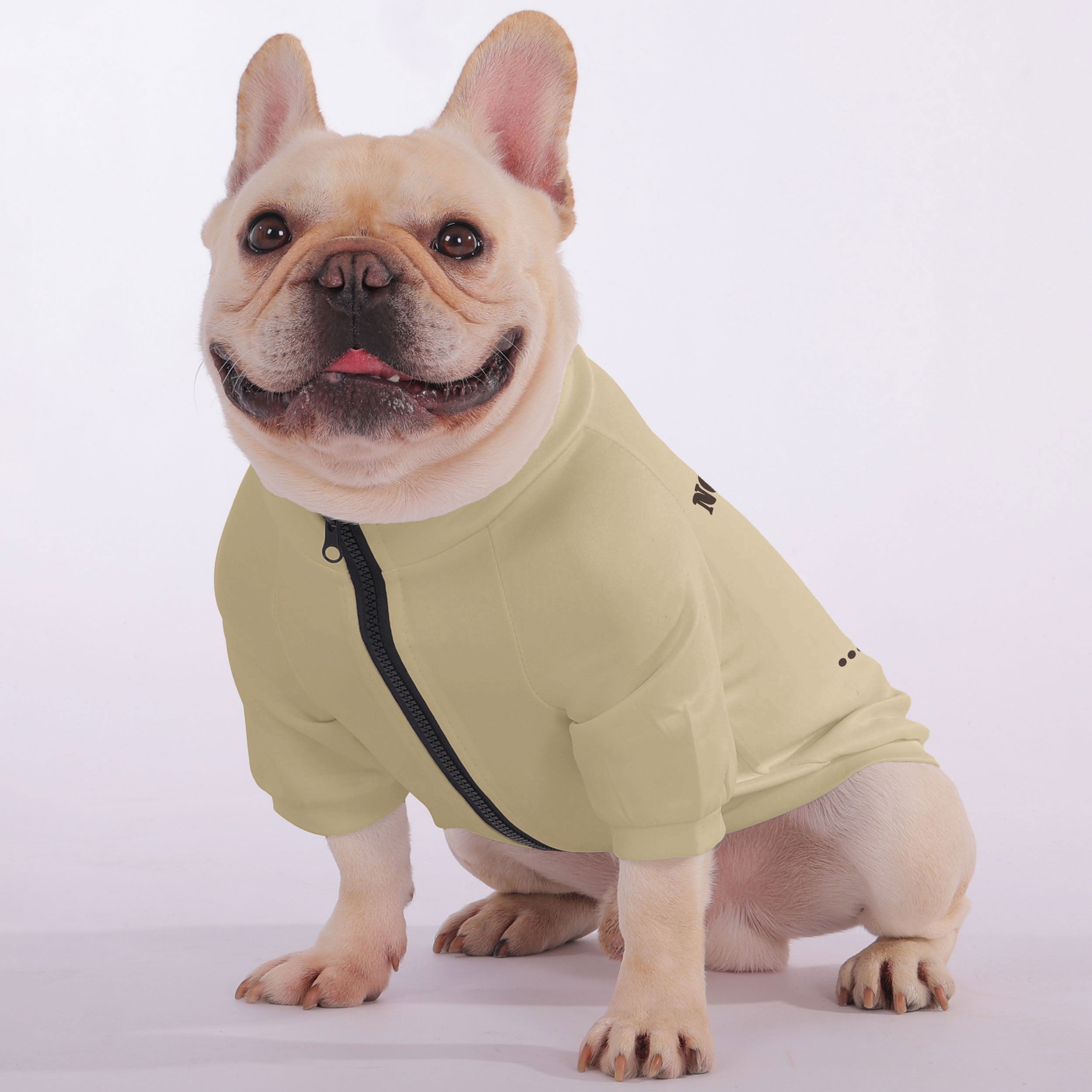 Not French Bulldog Pet Sweatshirt for Brachycephalic Dogs-fadou