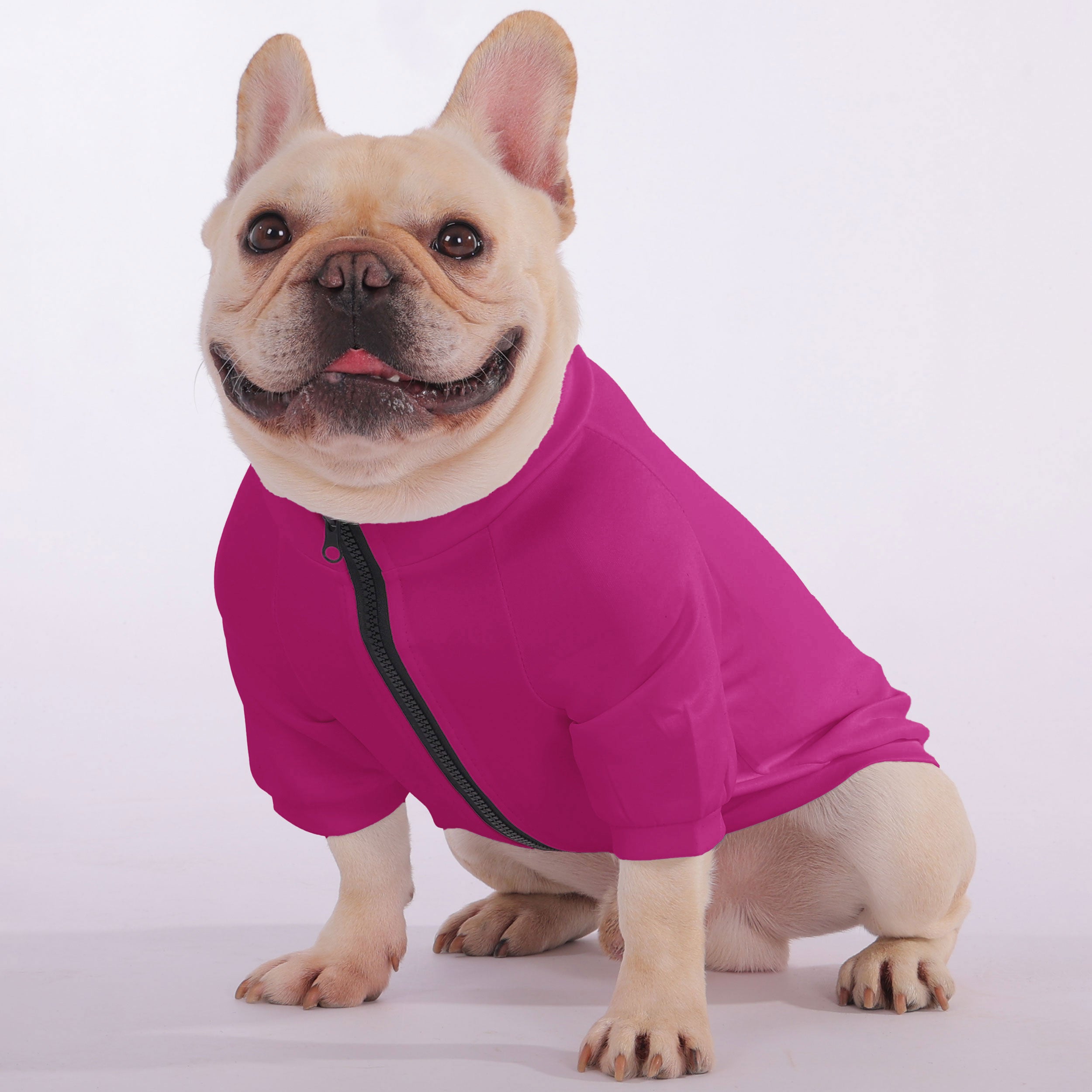 French Bulldog Cute Pet Sweatshirt for Outdoor Adventures-fadou