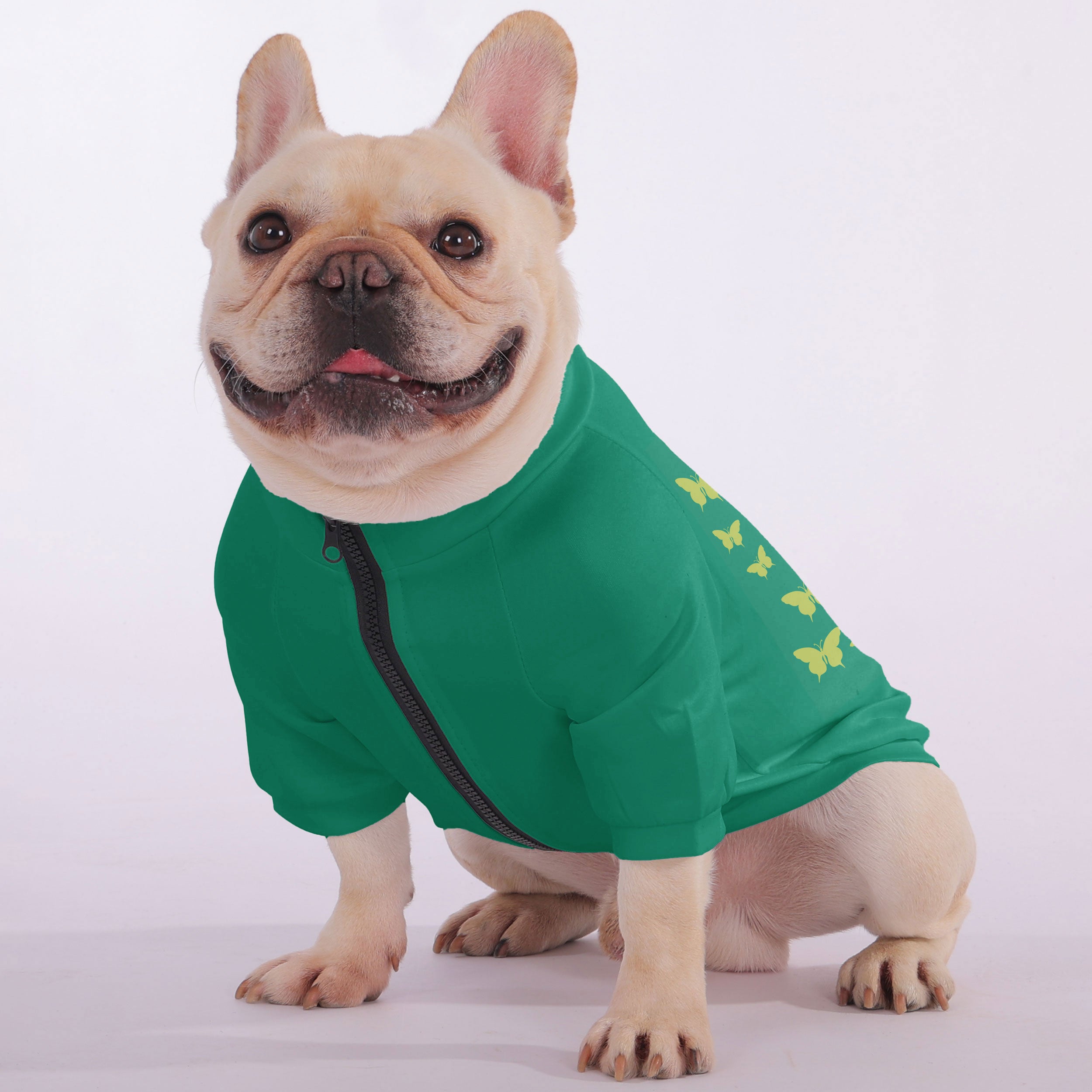 Groucho French Bulldog Pet Sweatshirt for Outdoor Adventures-fadou