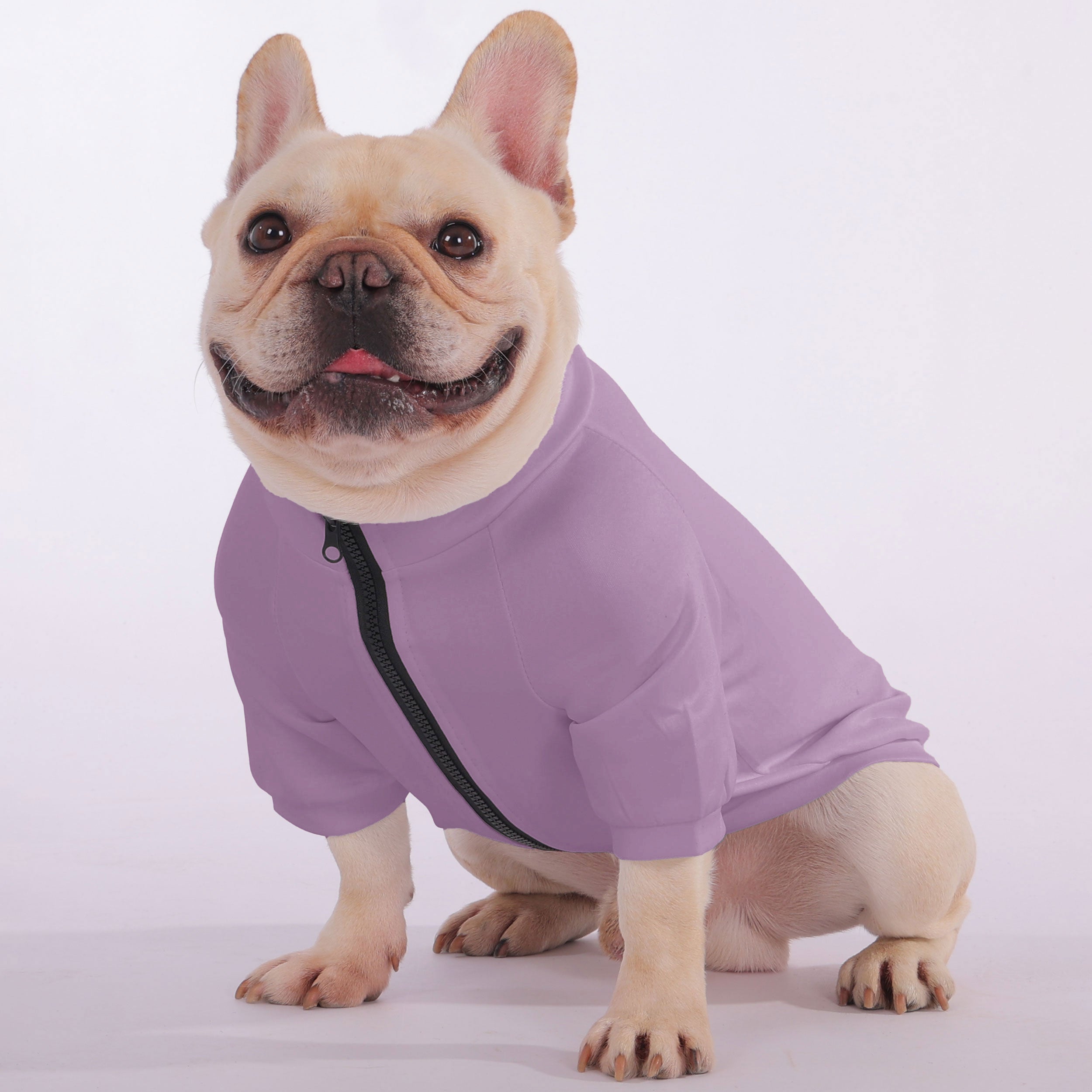 I'm Not Short, Just Extra Awesome - Snuggly for French Bulldogs-fadou