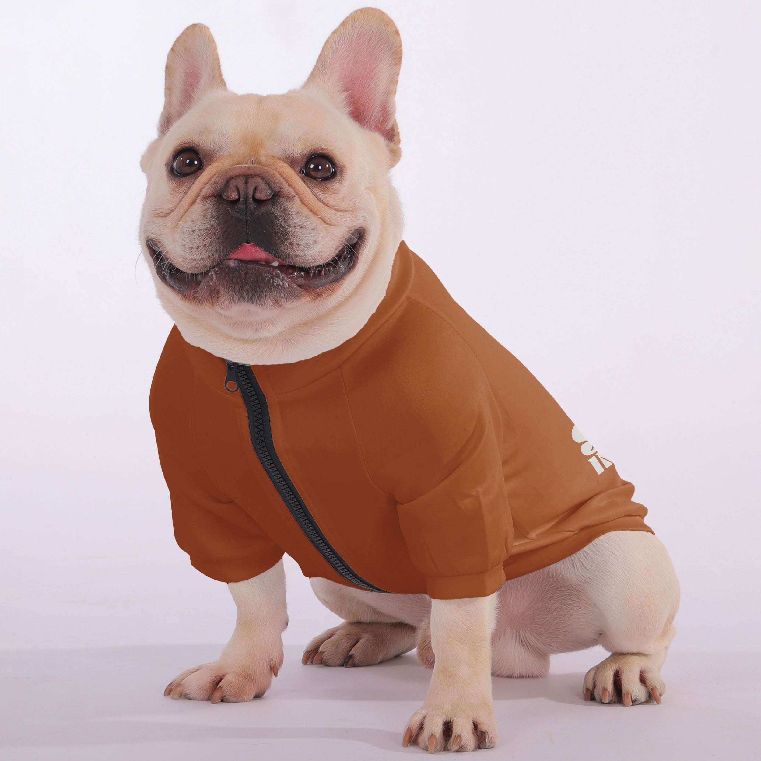 Snack French Bulldog Pet Sweatshirt for Short-Nosed Dogs-fadou