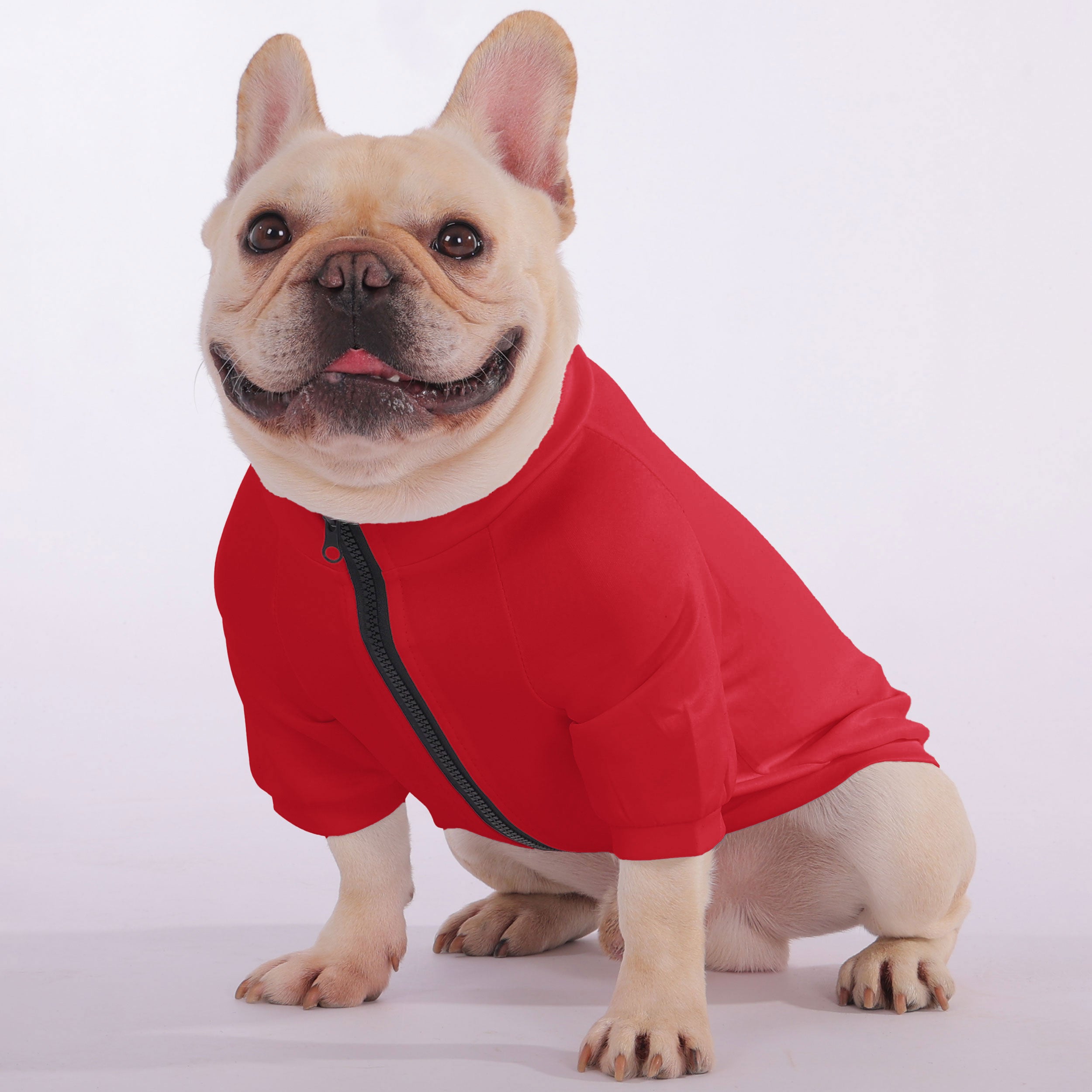 Snacks French Bulldog Pet Sweatshirt for French Bulldogs-fadou