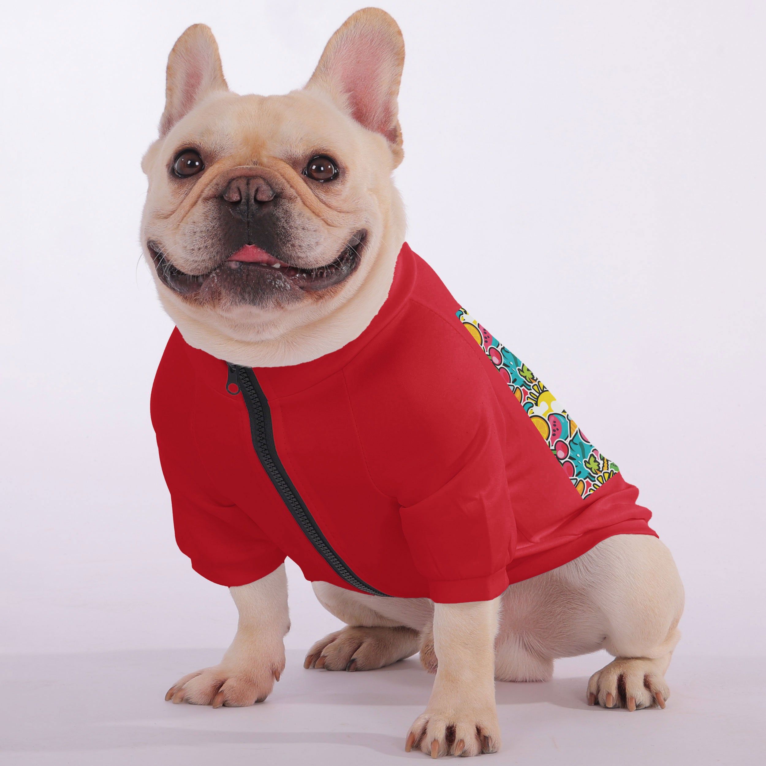 Apollo French Bulldog Fleece Hoodie for Training Sessions-fadou