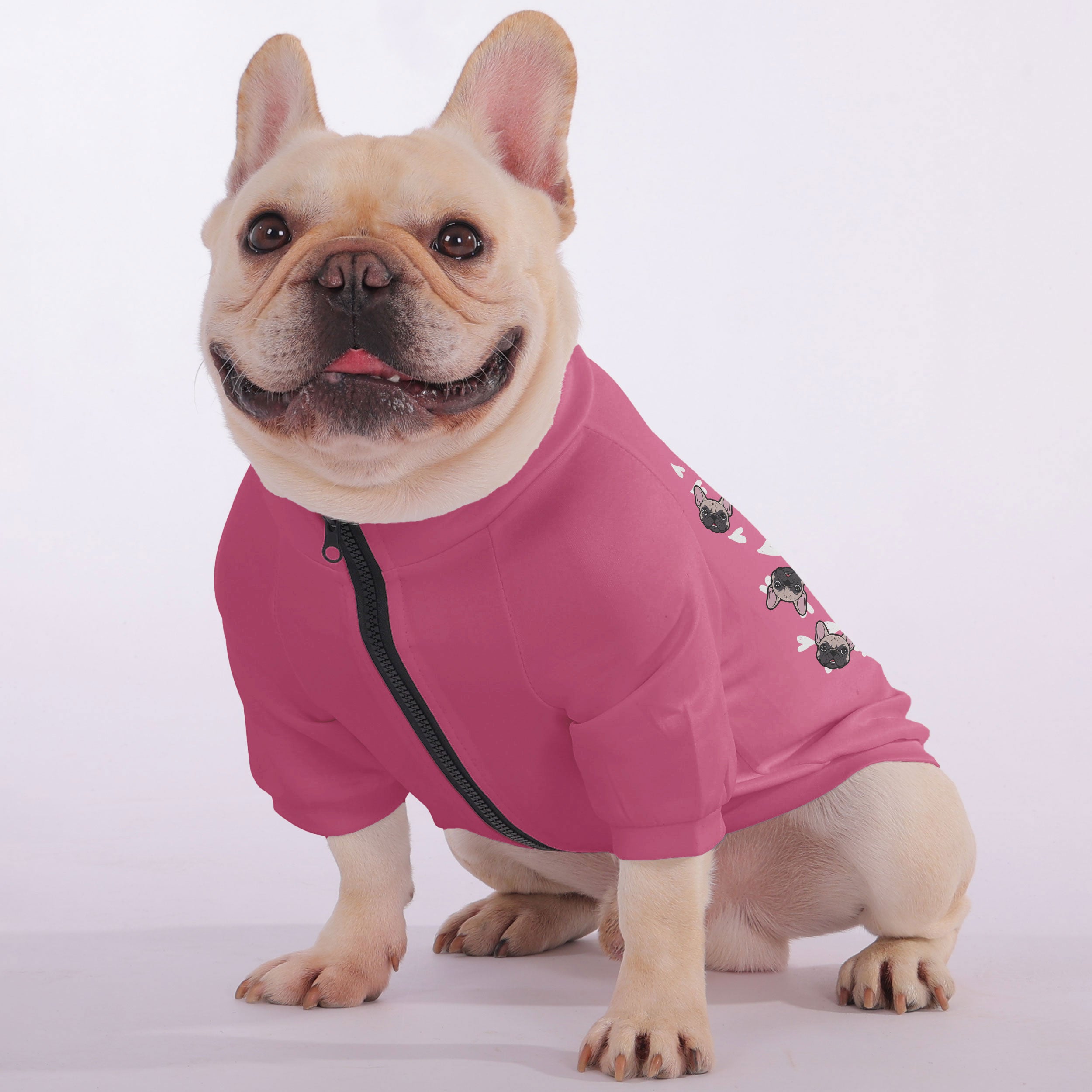 Delrick French Bulldog Dog Hoodie for Training Sessions-fadou