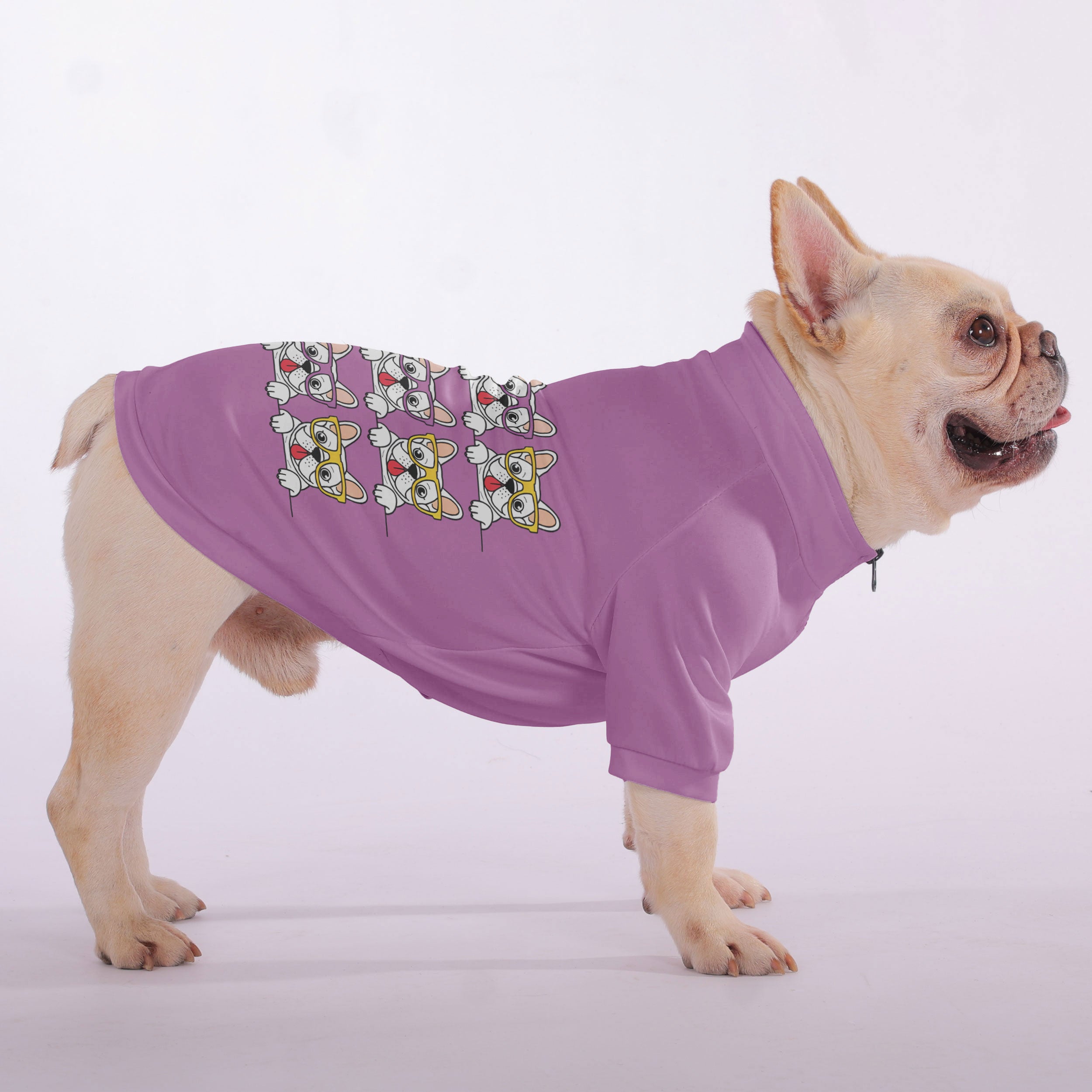 Henri French Bulldog Pet Sweatshirt for Flat-Face Breeds-fadou